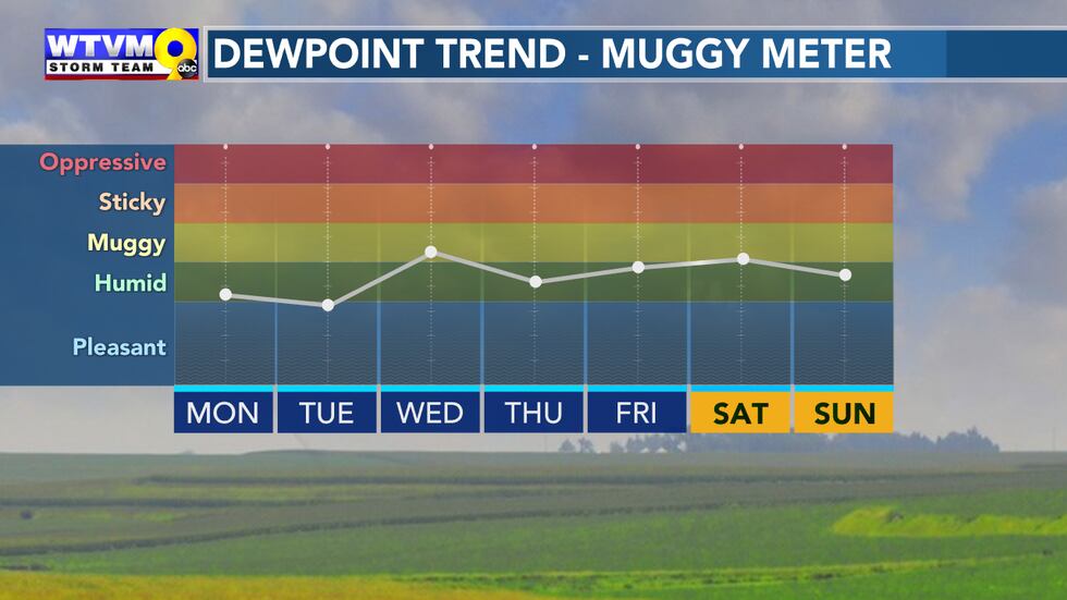 Muggy Meter
