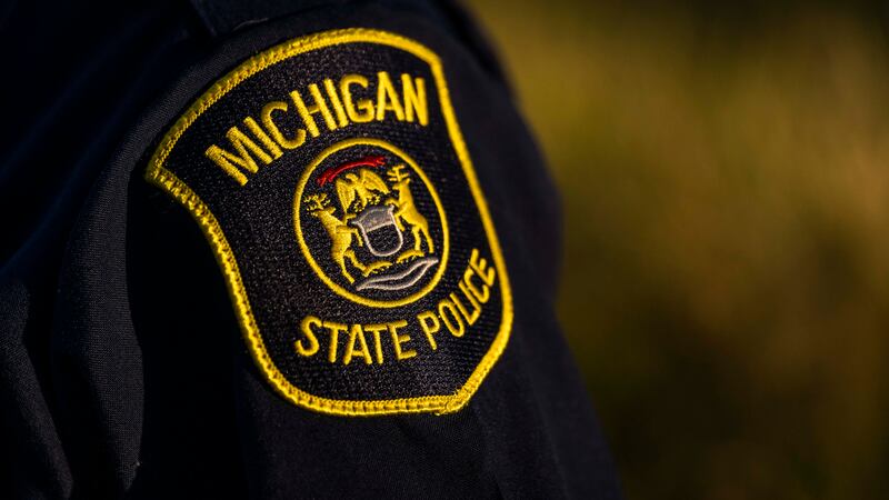 Michigan State Police found two toddlers face down in a pond.