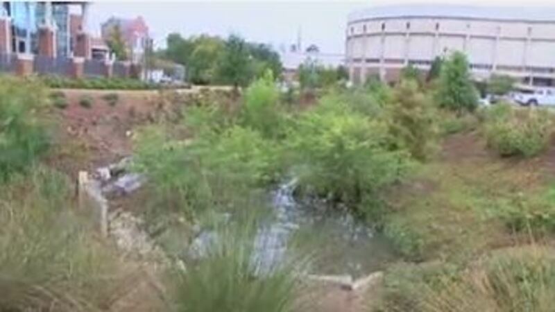 A grant obtained by the Extension System is being used to create the Pepperell Branch...