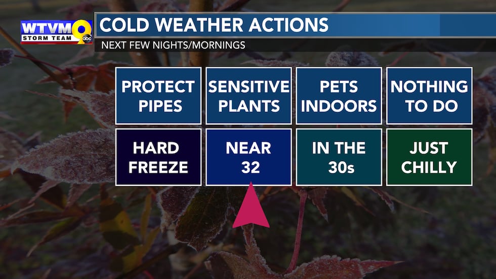 Protect your sensitive plants and blooms the next few nights from frost.