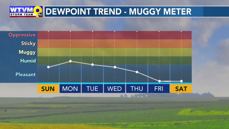 muggy meter