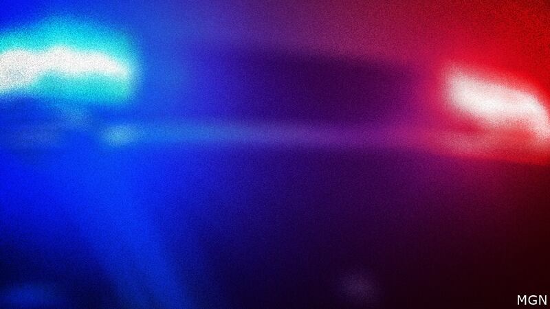 Troup County Sheriff’s Office arrests 2 people on drug charges