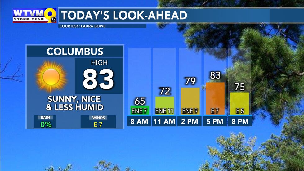 Comfortable today with lots of sunshine.
