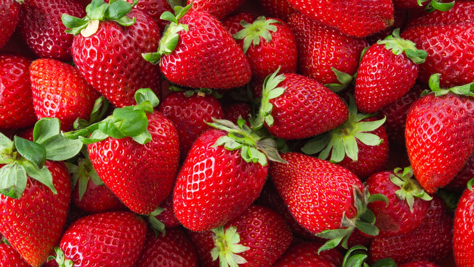8yearold dies after eating strawberries from school fundraiser
